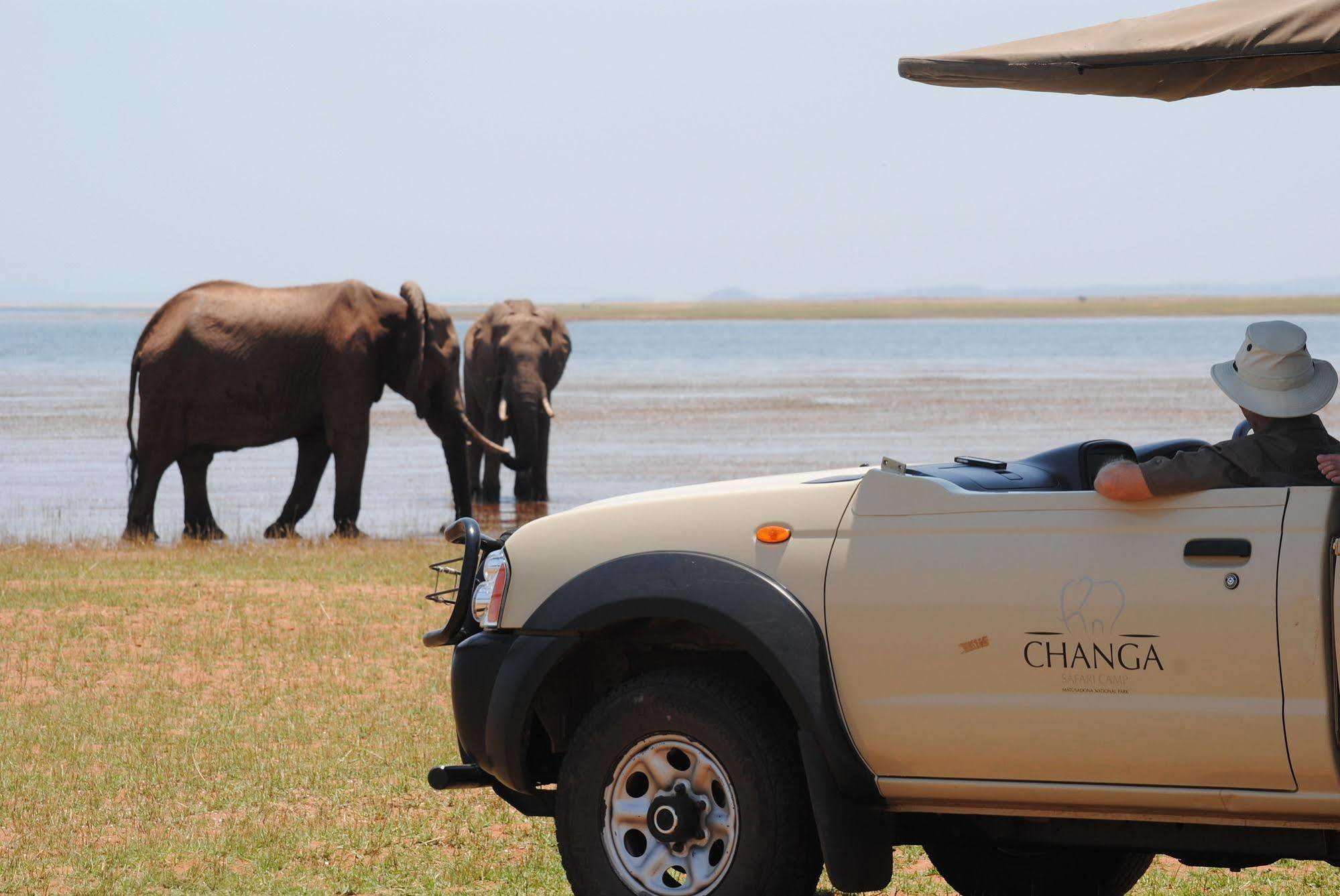 Changa Safari Camp Matusadona National Park Ngoại thất bức ảnh