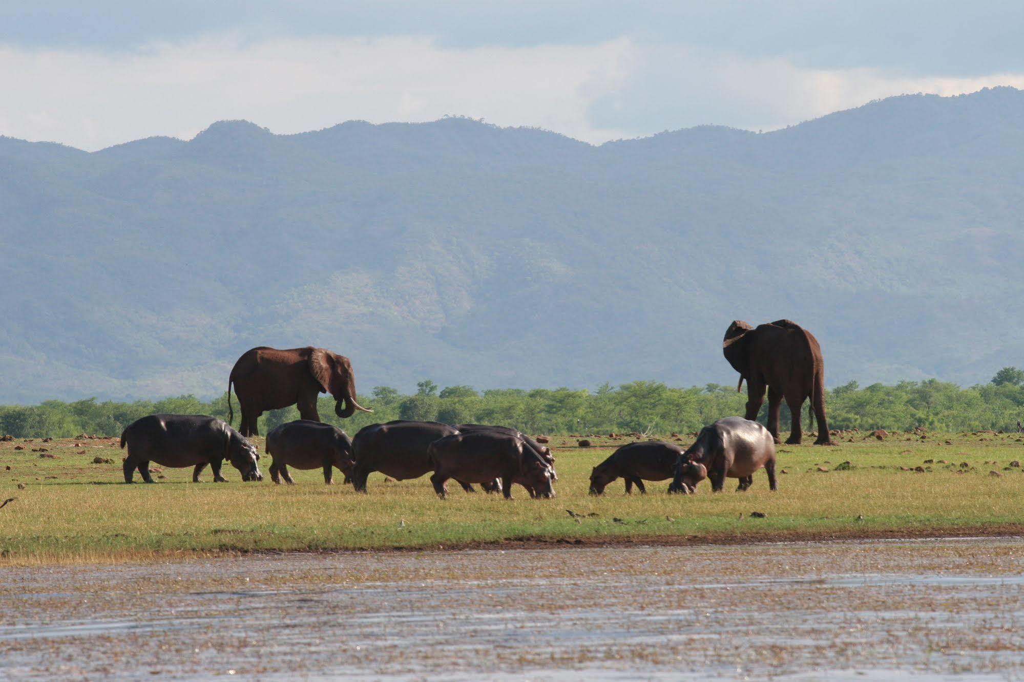 Changa Safari Camp Matusadona National Park Ngoại thất bức ảnh
